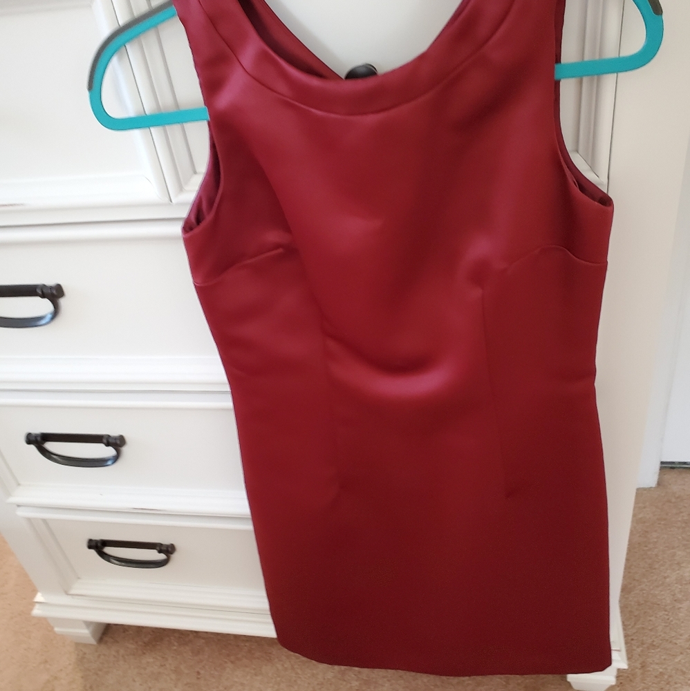 Anne Taylor dress
